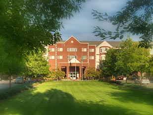 msn adult group listing